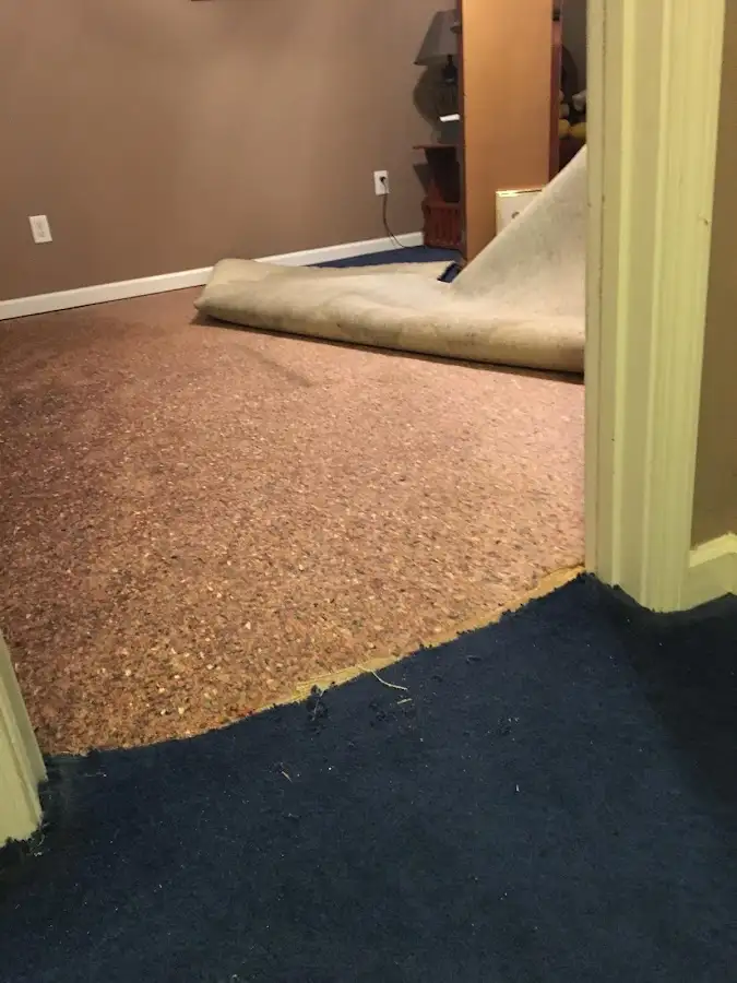 Carpet pad removal revealing water damage during Water Mitigation Services in Etowah