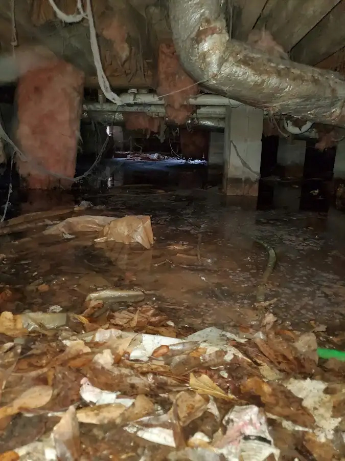 Crawl space flood assessment for Commercial Water Damage Restoration in Etowah